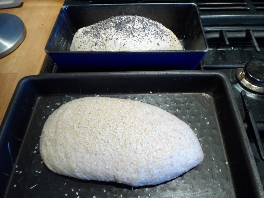 shaping sourdough loaves