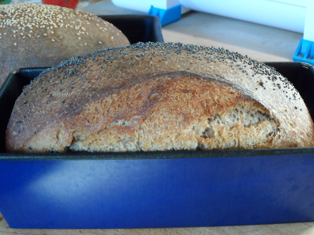 my first sourdough loaf