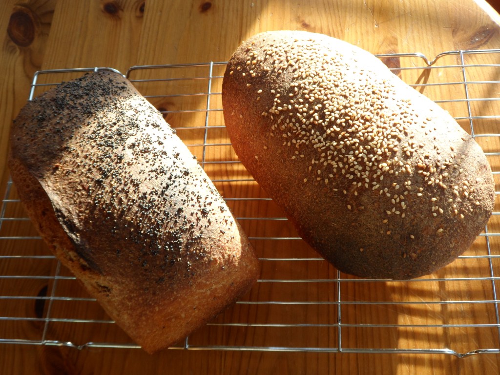 fresh sourdough loaves