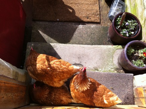 The girls huddling by the door