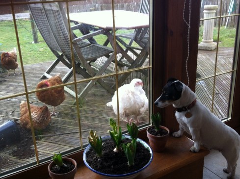 Moby has her eye on the girls