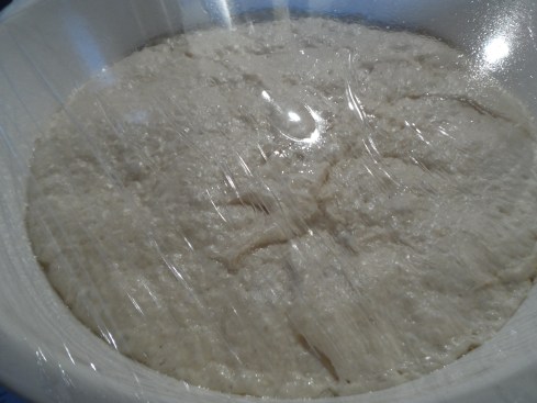 The dough, ready to rise for a few hours