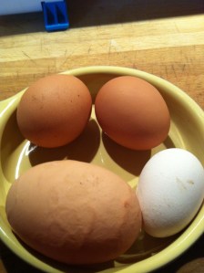 Not all eggs are equal. Mabel can lay an occasional Frankenegg, while Betty's are always small and white