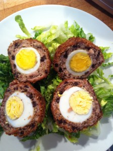 I'm so proud of my ladies, laying me such tasty treats!