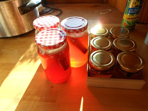 Cinnamon apple jelly