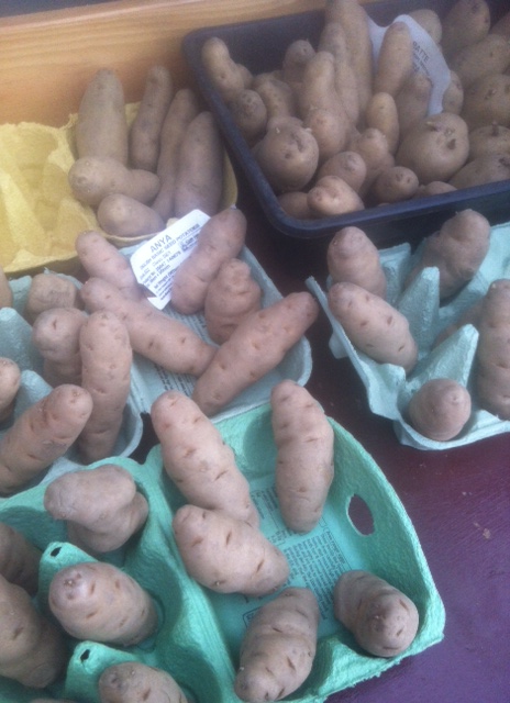 Chitting my seed potatoes