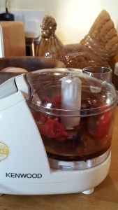 My lovely new gadget - Kenwood mini-chopper